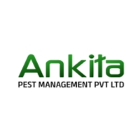 ankita-2